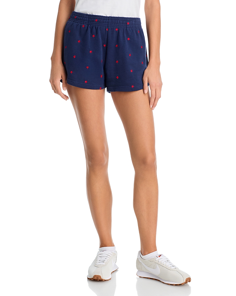Beach Riot Malik Star Shorts