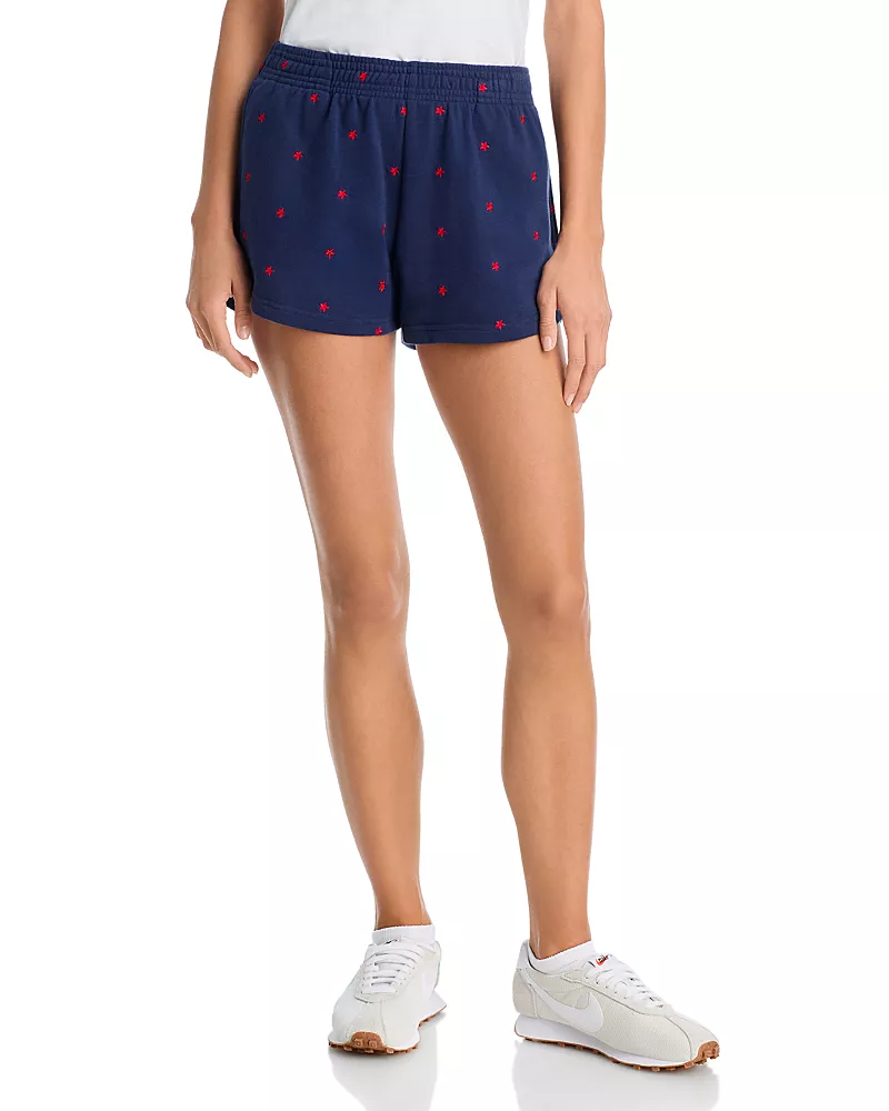 Beach Riot Malik Star Shorts