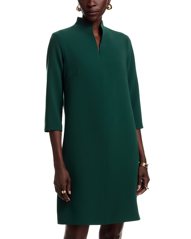Caroline Rose Taylor Dress