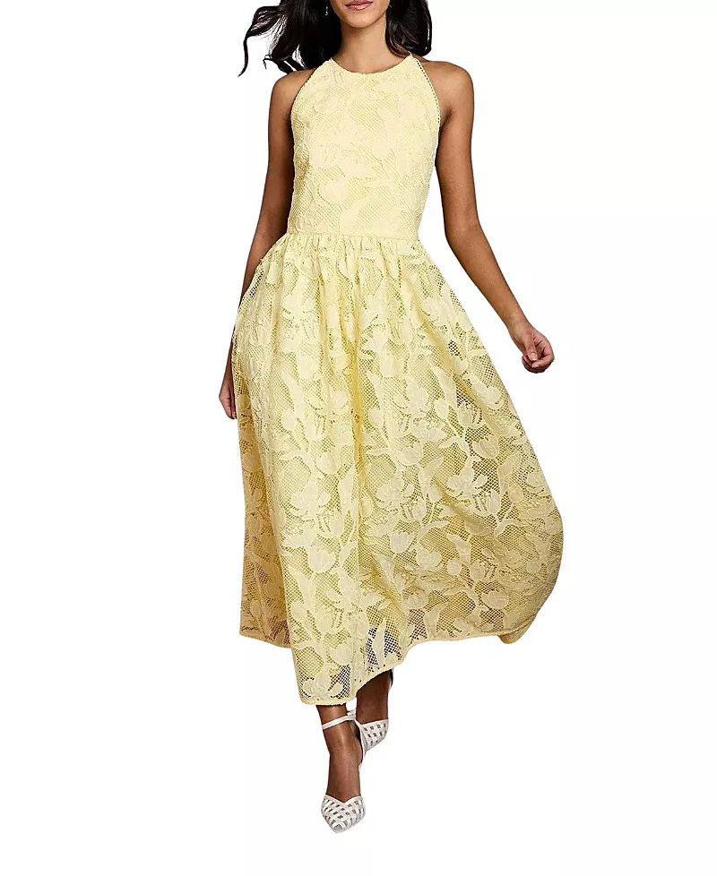 Coast Petite Halterneck Lace Midi Dress