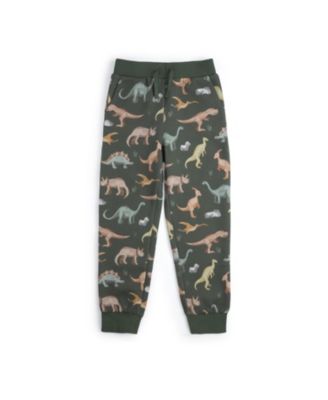 Boys' Dinosaurs Rock Jogger - Little Kid