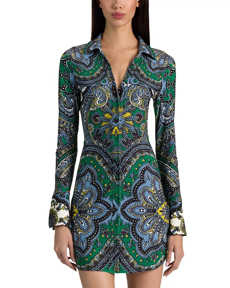 Alice and Olivia Freya Fitted Mini Shirtdress