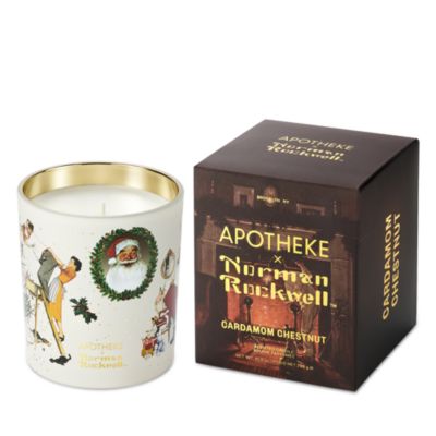 Cardamom Chestnut Norman Rockwell Classic Candle 10.5 oz.