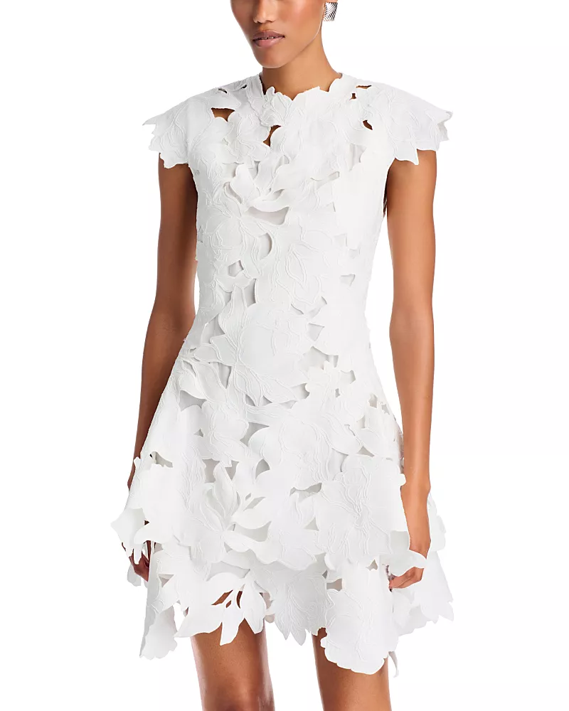 Simkhai Holloway Guipure Lace Fit-and-Flare Mini Dress