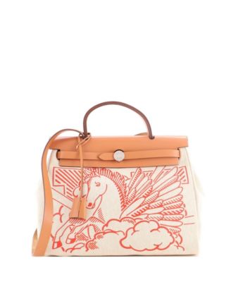 31 Herbag Zip Pegase Pop Toile and Leather