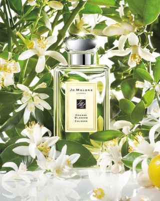 Jo Malone London Orange Blossom Collection | Bloomingdale's