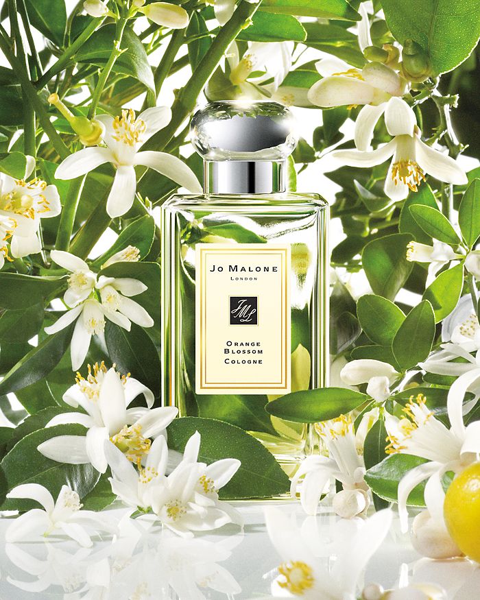 Jo malone london new arrivals spring scents collection