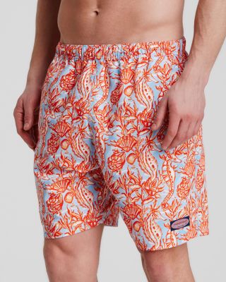 chappy swim trunks