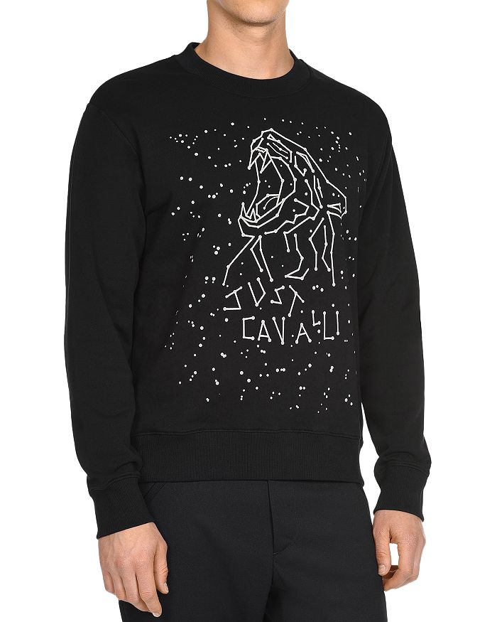 Just cavalli hot sale tiger sweatshirt