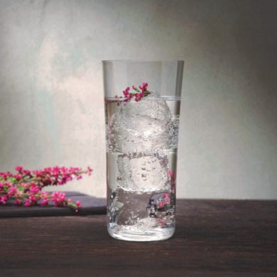 Savage Highball Glass, Set of 4