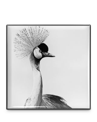 Luminescent Eye Shade