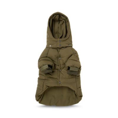 max bone dog puffer jacket