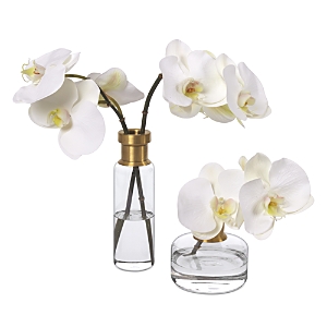 Diane James Home Phalaenopsis Faux Floral Orchids - Set Of 2 In White