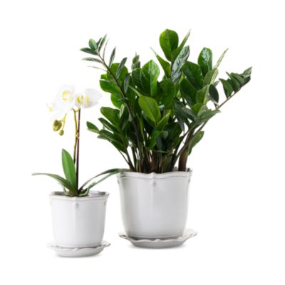 Berry & Thread 5.25" Planter with Saucer