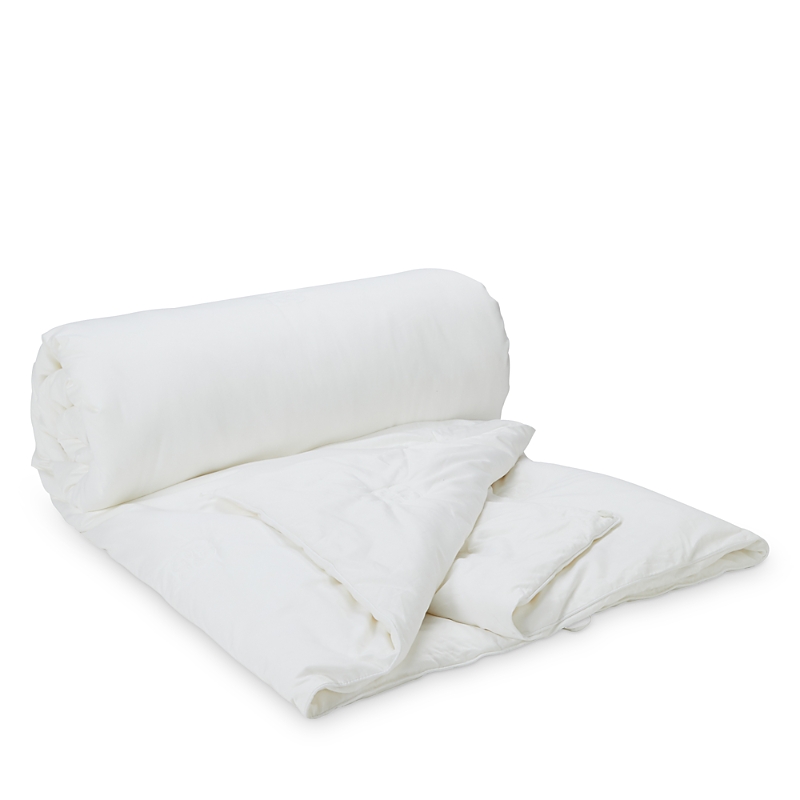 Gingerlily Half & Half Silk Filled Comforter, Queen In White