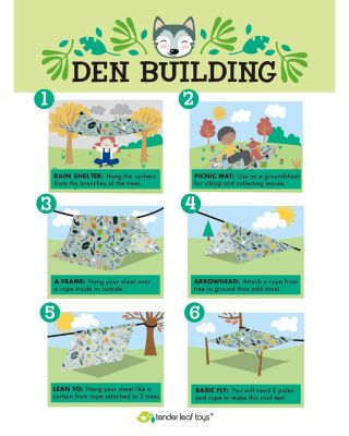 Forest Trail Kit - Ages 3+