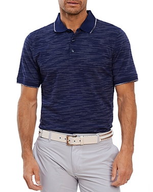 Robert Graham Cotton Jacquard Space Dyed Classic Fit Polo Shirt