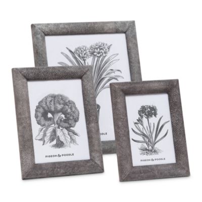 Oxford Frame Collection