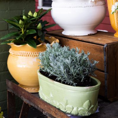 Rustic Garden Collection