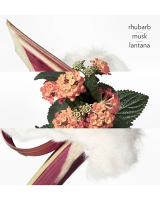 Eau de rhubarbe &eacute;carlate Eau de Cologne Spray 3.3 oz.