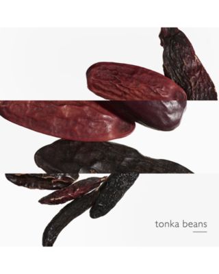 L'Ombre des Merveilles Eau de Parfum 3.3 oz.