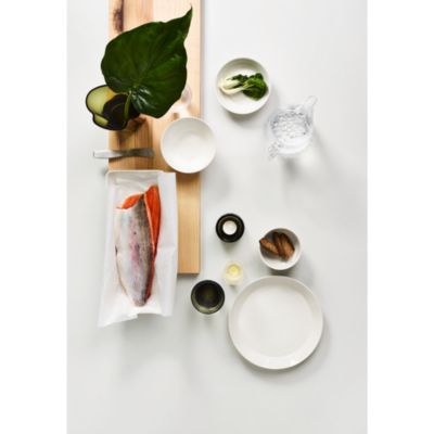 Teema Dinnerware