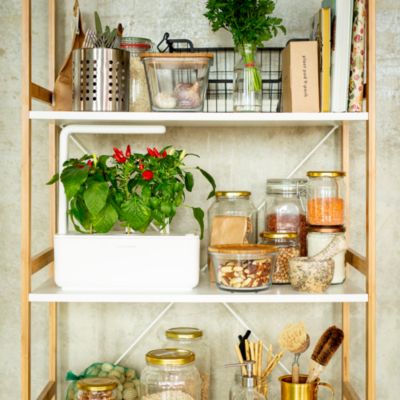 Smart Garden 3 & Plant Pods Kit