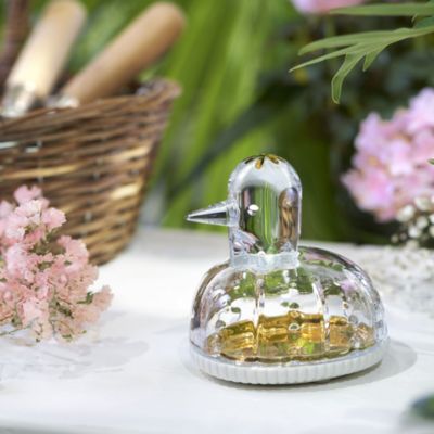 The Zoo Duck Jewelry Box