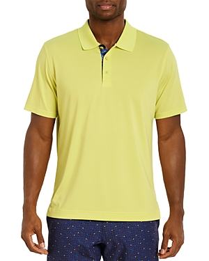 Robert Graham Men's Elbridge Engineered-skull Polo Shirt In Lime