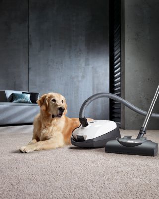 Classic C1 Cat &amp; Dog Canister Vacuum