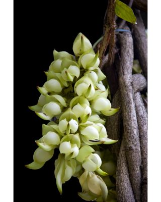 DECORTÉ AQ TRAVELEXCLUSIVE DECORTÉ AQ Radiance Collection I