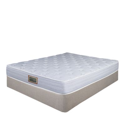 Essential Trundle 8&amp;quot; Mattress - Exclusive