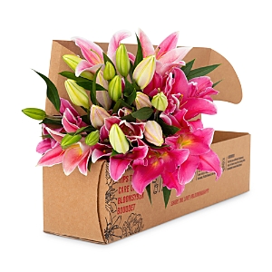 Bloomsybox Pretty In Pink Lilies Bouquet