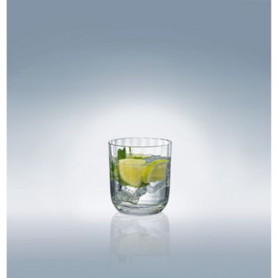 Rose Garden Water/Juice Tumbler, Set of 4