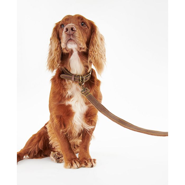 Barbour Leather Dog Collar & Leash Collection | Bloomingdale's