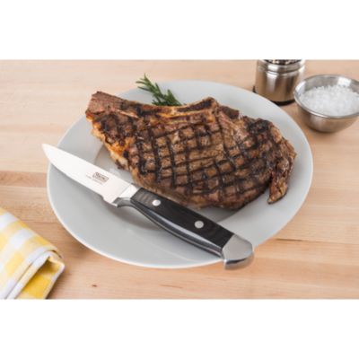 6 Pc Steak Knife Set