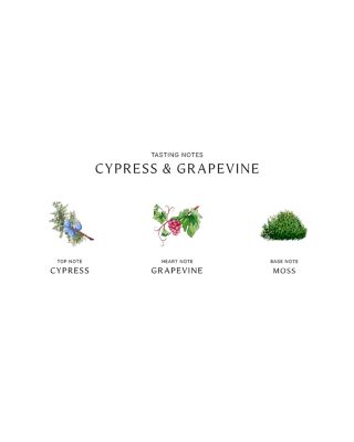 Cypress &amp; Grapevine Cologne Intense 1.7 oz.