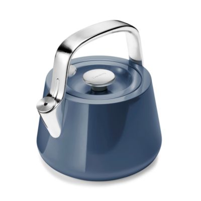 Stainless Steel Tea Kettle