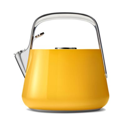 Stainless Steel Tea Kettle