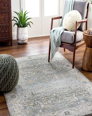 Dresden DRE-2310 Area Rug Collection