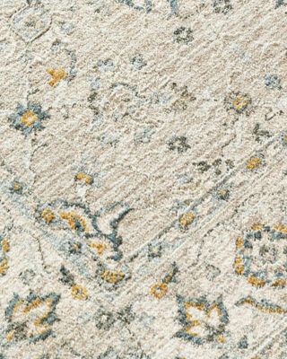 Dresden DRE-2311 Area Rug, 2' x 3'