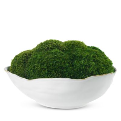 Diane James Home - Faux Mossy Mood in Potter's Bowl