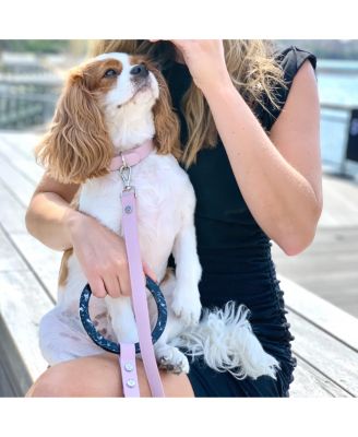 Susan Short Leather Dog Leash with Acrylic Handle