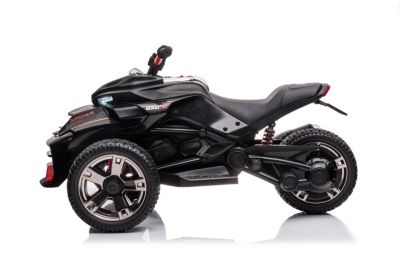 3 Wheel 24V 2-Seater Motorcycle Kids Ride on