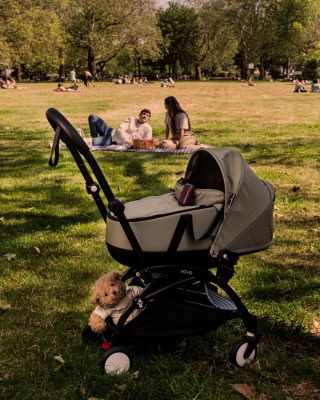 PIP12 Travel Monitor