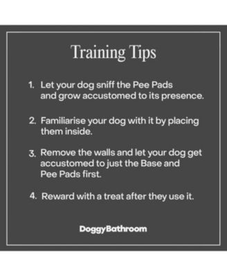  Potty Tray and Training Pad Holder with Protective Walls Mini