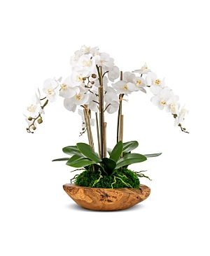 Cocobella Pheonix Orchid Bown In White