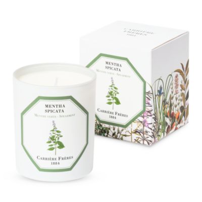 Carriere Freres - Spearmint Scented Candle, 6.5 oz.