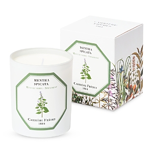 Shop Carriere Freres Spearmint Scented Candle, 6.5 Oz.