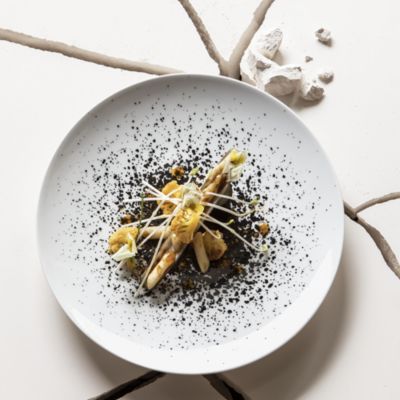 Arty Creation Gift Boxed Round Plates, Set of 6